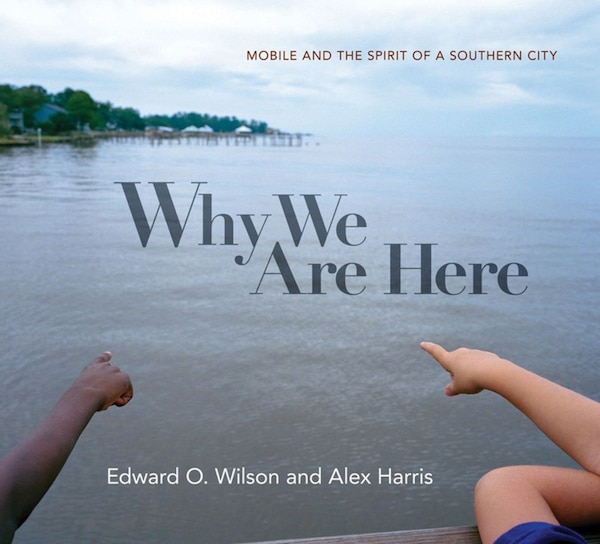 Why We Are Here by Edward O Wilson, Hardcover | Indigo Chapters