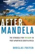 After Mandela by Douglas Foster, Hardcover | Indigo Chapters