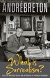 What is Surrealism? by Andre Breton, Paperback | Indigo Chapters