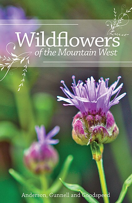 Wildflowers of the Mountain West by Richard M. Anderson, Spiral Bound | Indigo Chapters