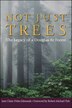 Not Just Trees by Jane Claire Dirks-Edmunds, Paperback | Indigo Chapters