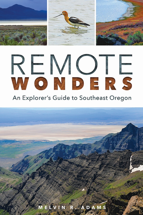 Remote Wonders by Melvin R Adams, Paperback | Indigo Chapters