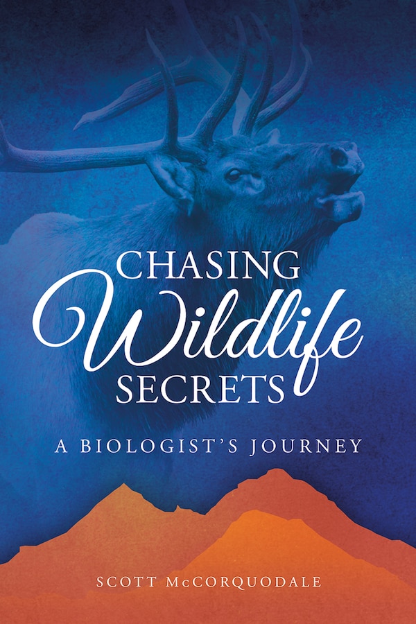 Chasing Wildlife Secrets by Scott McCorquodale, Paperback | Indigo Chapters