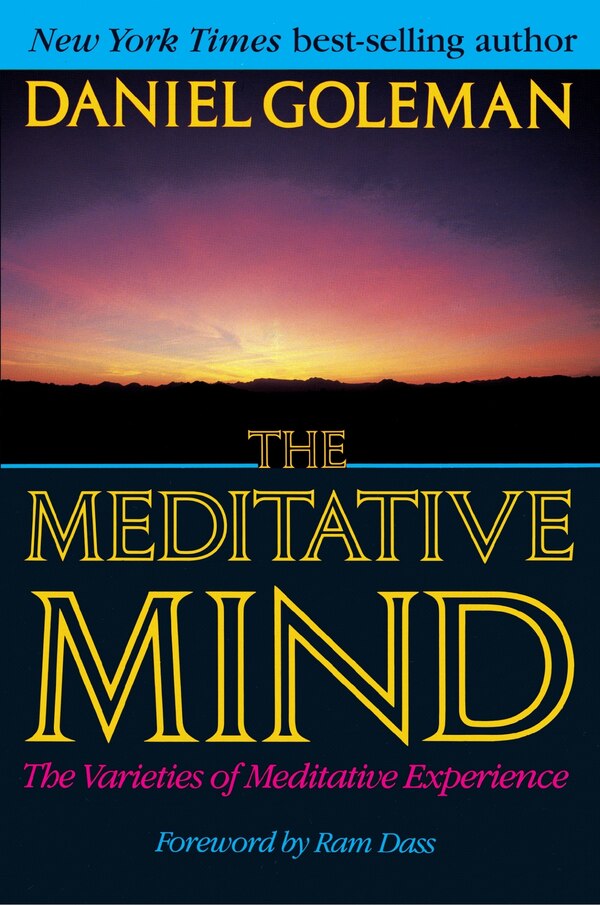 The Meditative Mind by Daniel Goleman, Paperback | Indigo Chapters