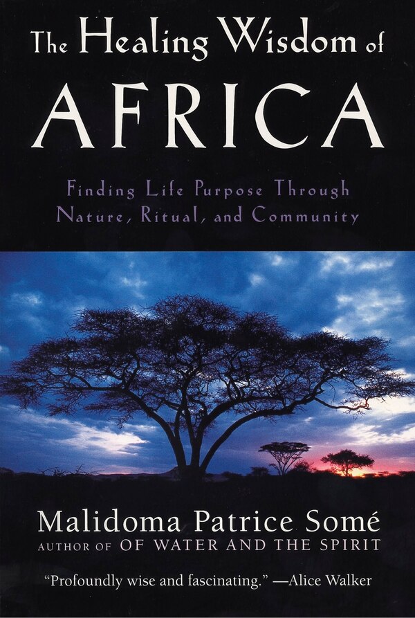 The Healing Wisdom Of Africa by Malidoma Patrice Some, Paperback | Indigo Chapters