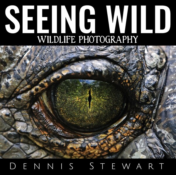 Seeing Wild by Dennis John Stewart, Hardcover | Indigo Chapters