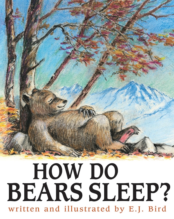 How Do Bears Sleep? by E.J. Bird, Paperback | Indigo Chapters