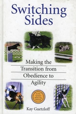 Switching Sides by Kay Guetzloff, Hardcover | Indigo Chapters