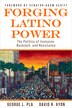 Forging Latino Power by David R. Ayón, Paperback | Indigo Chapters