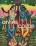 Divine Color by Laura Weinstein, Hardcover | Indigo Chapters