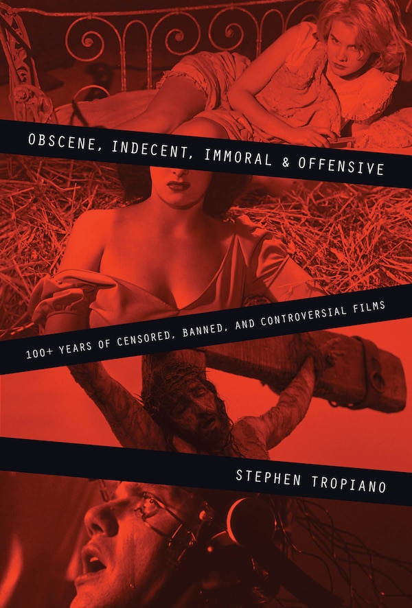 Obscene Indecent Immoral & Offensive by Stephen Tropiano, Paperback | Indigo Chapters