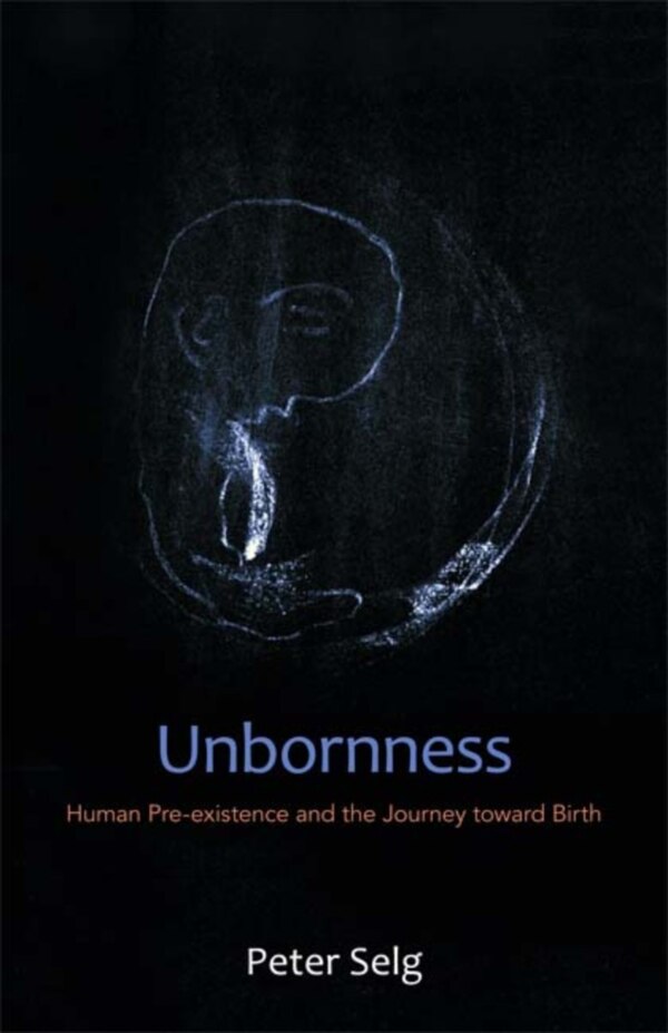 Unbornness by Peter Selg, Paperback | Indigo Chapters