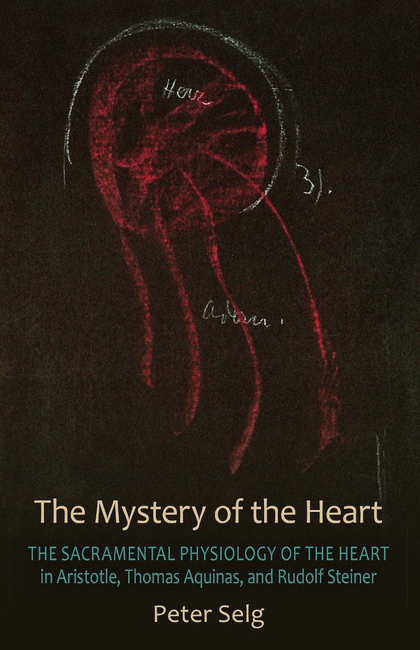 The Mystery of the Heart by Peter Selg, Paperback | Indigo Chapters