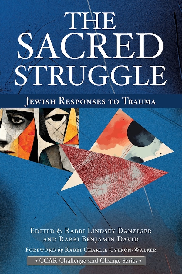 The Sacred Struggle by Rabbi Lindsey Danziger, Paperback | Indigo Chapters