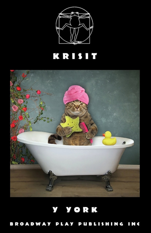 Krisit by Y York, Paperback | Indigo Chapters