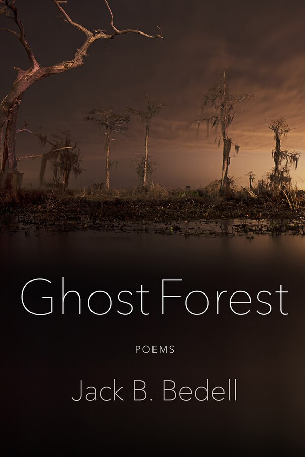 Ghost Forest by Jack B Bedell, Paperback | Indigo Chapters