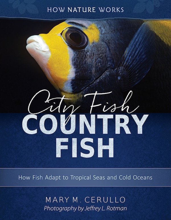 City Fish Country Fish by Mary M. Cerullo, Picture Books | Indigo Chapters