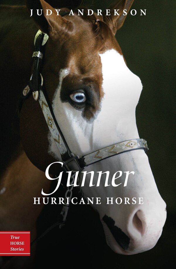 Gunner by Judy Andrekson, Paperback | Indigo Chapters
