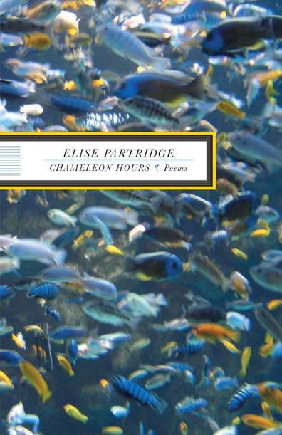 Chameleon Hours by Elise Partridge, Paperback | Indigo Chapters