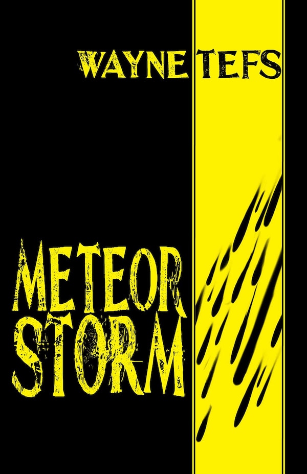Meteor Storm by Wayne Tefs, Paperback | Indigo Chapters