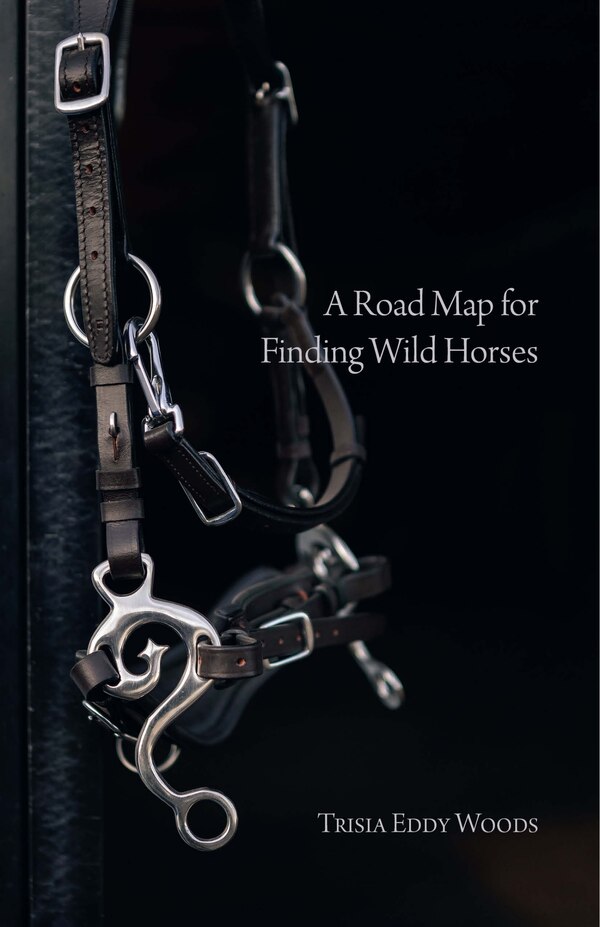 A Road Map for Finding Wild Horses by Trisia Eddy Woods, Paperback | Indigo Chapters