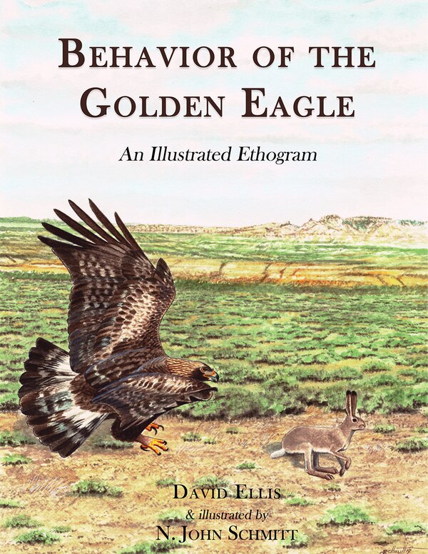 Behavior Of The Golden Eagle by David Ellis, Hardcover | Indigo Chapters