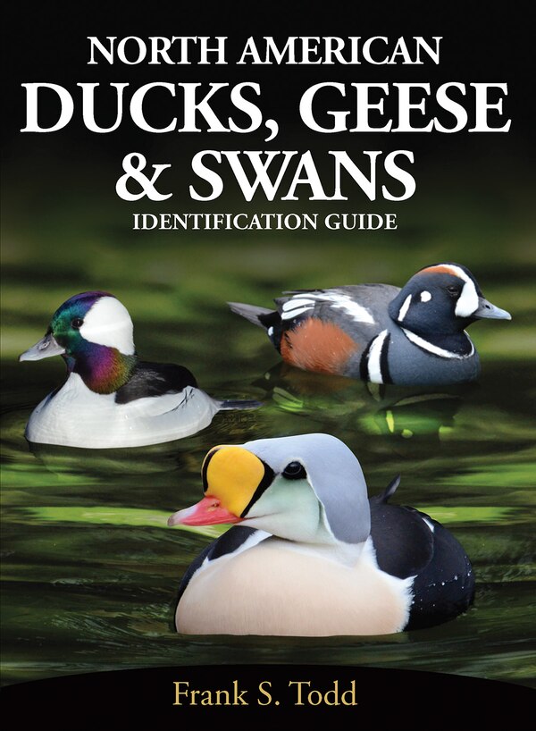 North American Ducks Geese and Swans by Frank Todd, Paperback | Indigo Chapters