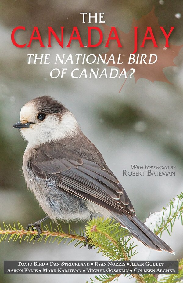 The Canada Jay by David Bird, Paperback | Indigo Chapters