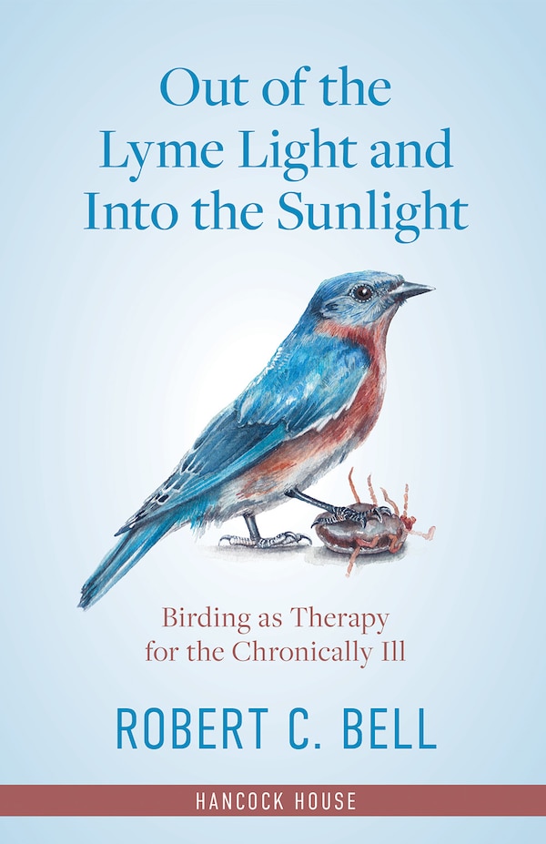 Out of the Lyme Light and Into the Sunlight by Robert Bell, Paperback | Indigo Chapters