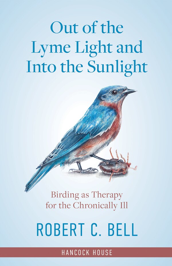 Out of the Lyme Light and Into the Sunlight by Robert Bell, Hardcover | Indigo Chapters