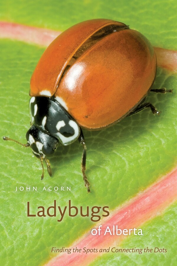 Ladybugs of Alberta by John Acorn, Paperback | Indigo Chapters