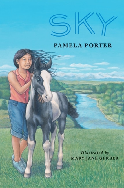 Sky by Pamela Porter, Paperback | Indigo Chapters