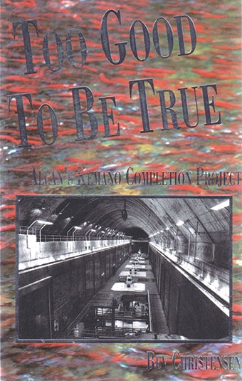 Too Good to Be True by Bev Christensen, Paperback | Indigo Chapters