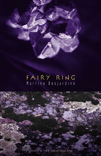 Fairy Ring by MARTINE DESJARDINS, Paperback | Indigo Chapters