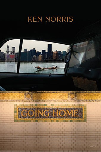 Going Home by Ken Norris, Paperback | Indigo Chapters