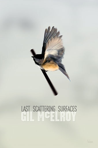 Last Scattering Surfaces by Gil McElroy, Paperback | Indigo Chapters