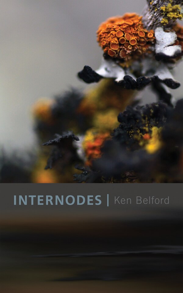 Internodes by Ken Belford, Paperback | Indigo Chapters