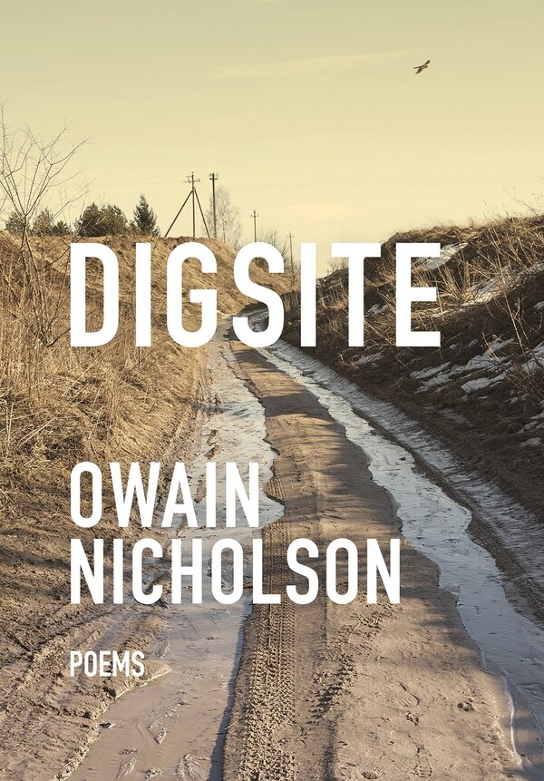 Digsite by Owain Nicholson, Paperback | Indigo Chapters