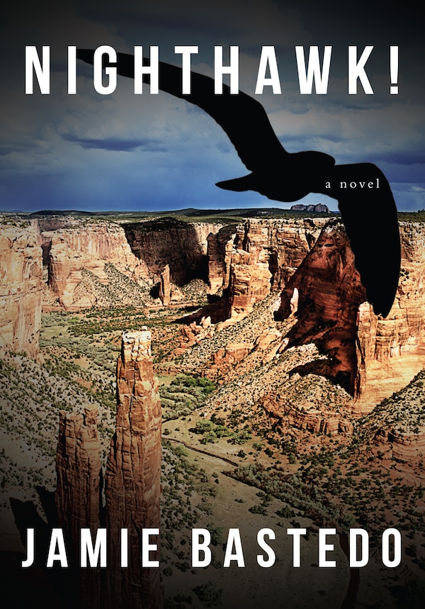 Nighthawk by Jamie Bastedo, Paperback | Indigo Chapters