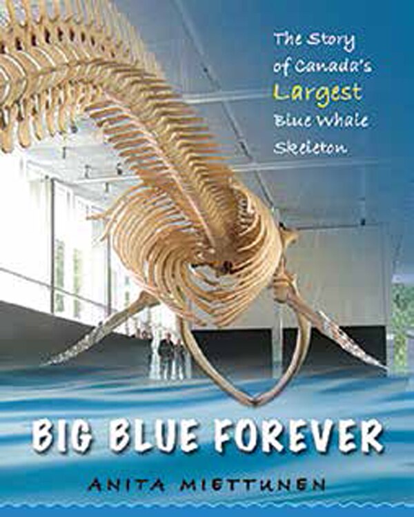 Big Blue Forever by Anita Miettunen, Picture Books | Indigo Chapters