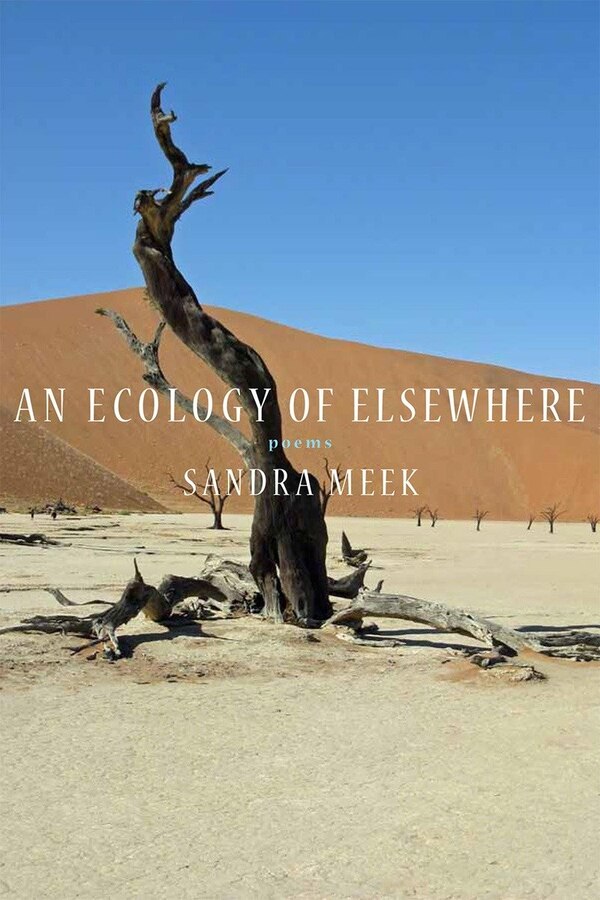 An Ecology Of Elsewhere by Sandra Meek, Paperback | Indigo Chapters