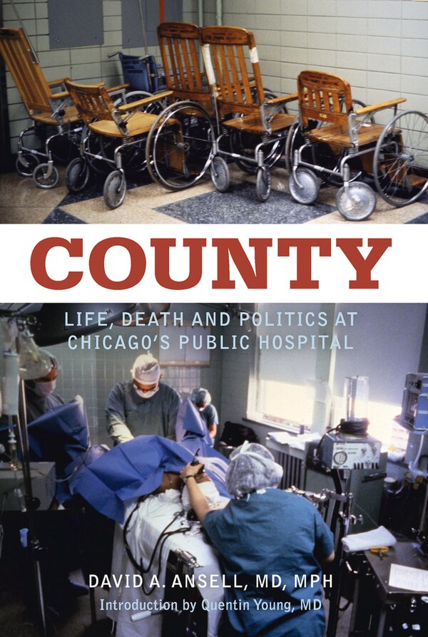 COUNTY by David A. Ansell, Hardcover | Indigo Chapters
