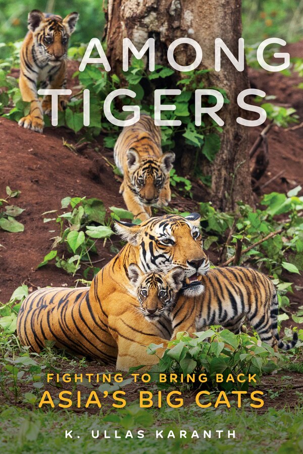 Among Tigers by K. Ullas Karanth, Paperback | Indigo Chapters