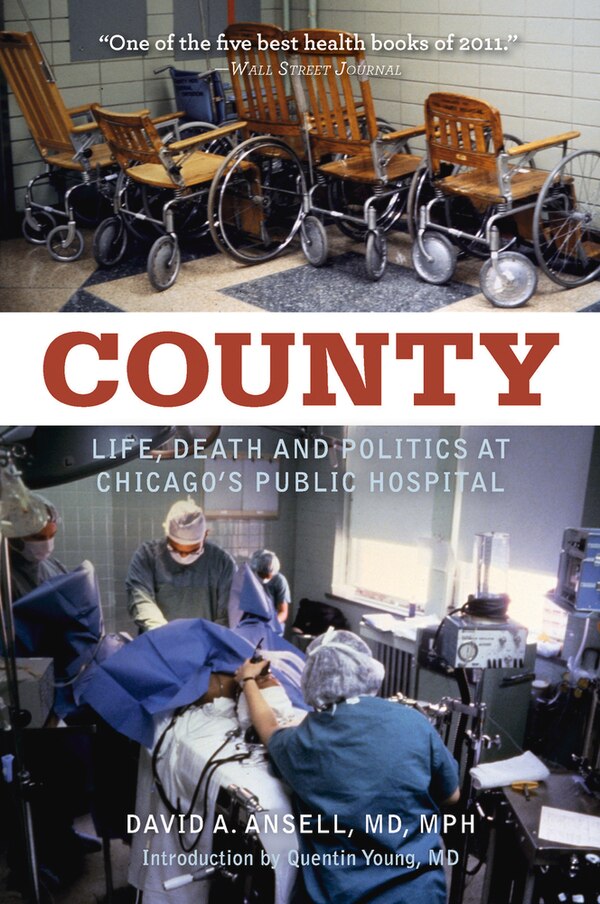 County by David A. Ansell, Paperback | Indigo Chapters