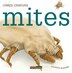 Creepy Creatures: Mites by Valerie Bodden, Paperback | Indigo Chapters