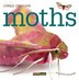 Creepy Creatures: Moths by Valerie Bodden, Paperback | Indigo Chapters