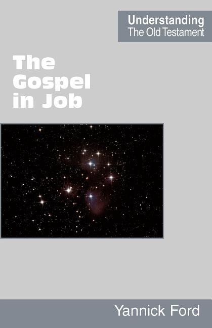 The Gospel in Job by Yannick Ford, Paperback | Indigo Chapters