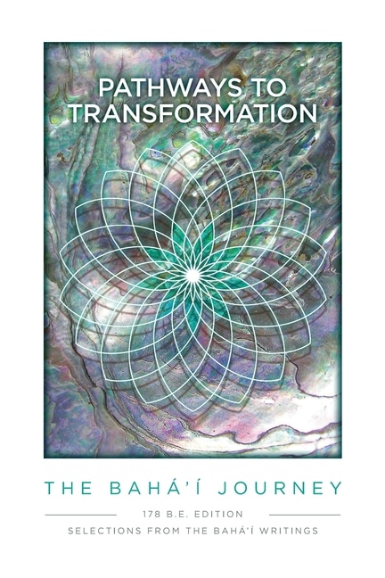 Pathway to Transformation by John Davidson, Paperback | Indigo Chapters