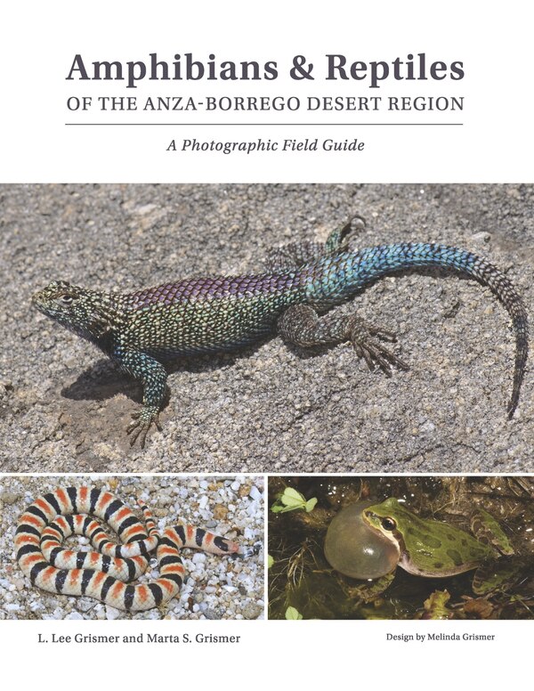 Amphibians & Reptiles of the Anza-Borrego Desert Region by L. Lee Grismer, Paperback | Indigo Chapters