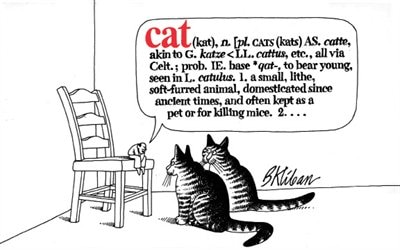 Cat by B. Kliban, Paperback | Indigo Chapters